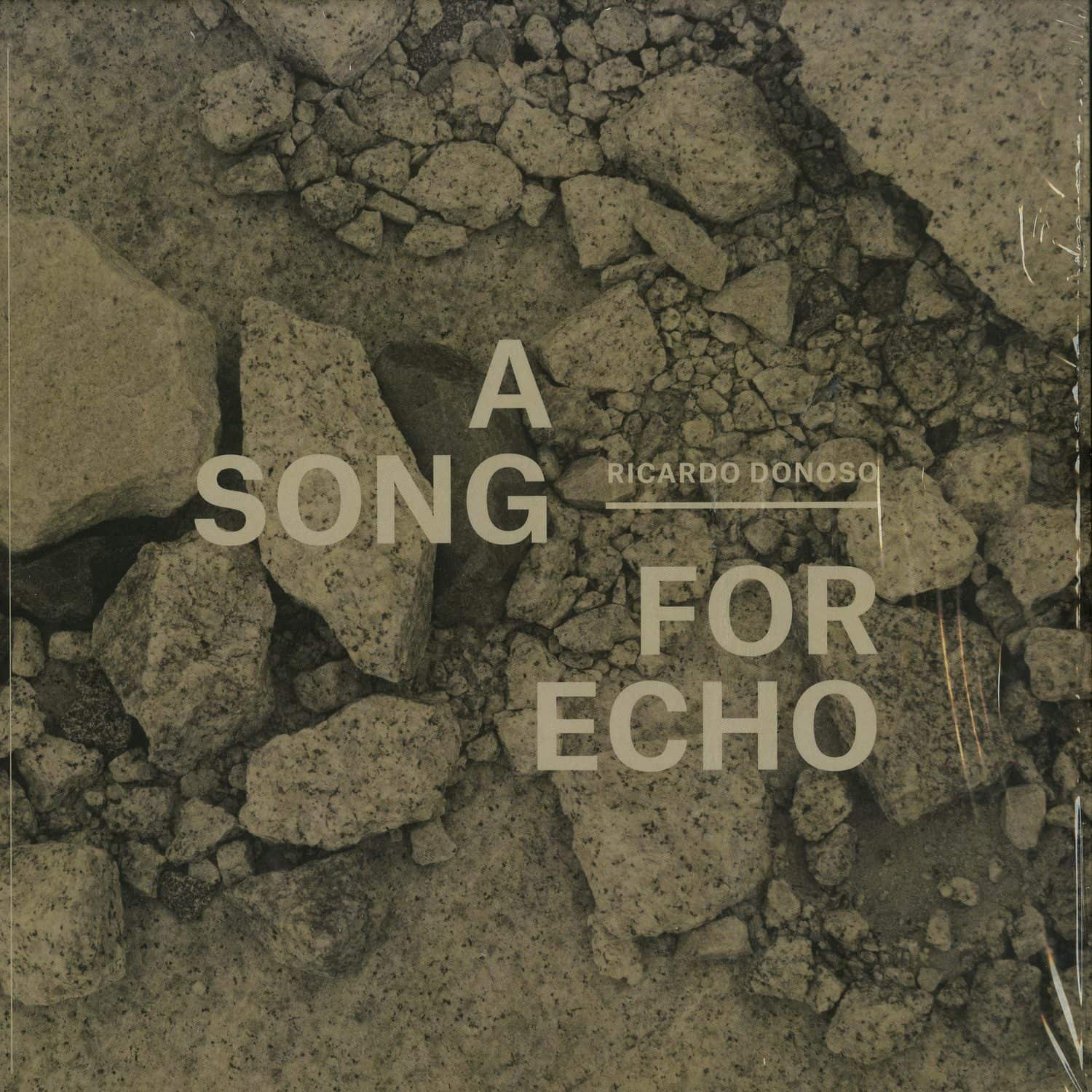 Ricardo Donoso - A SONG FOR ECHO