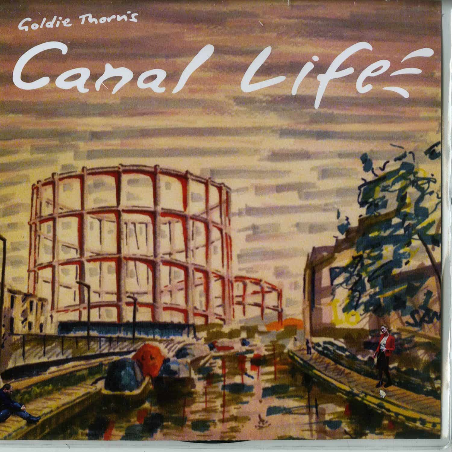 Goldie Thorn - CANAL LIFE