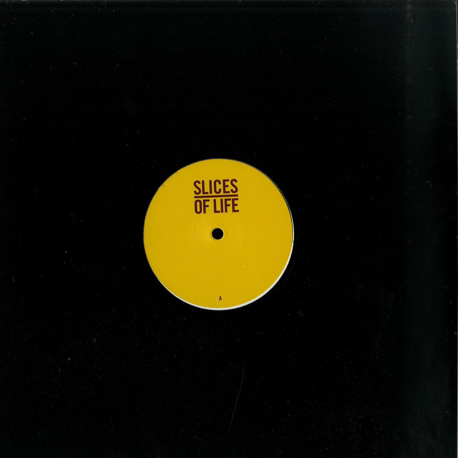 The Mole / Baaz / Dana Ruh / John Tejada - SLICES OF LIFE 10.1 