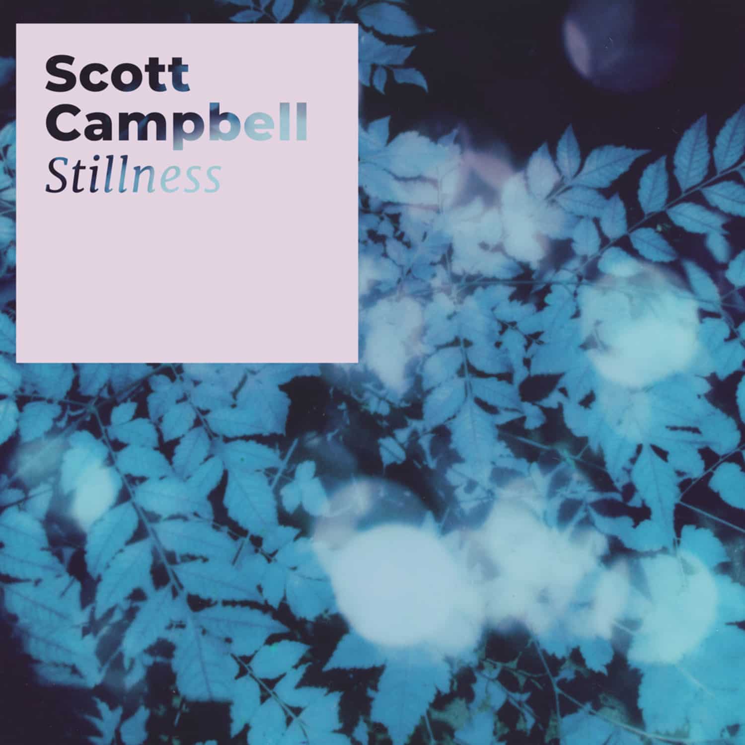 Scott Campbell - STILLNESS