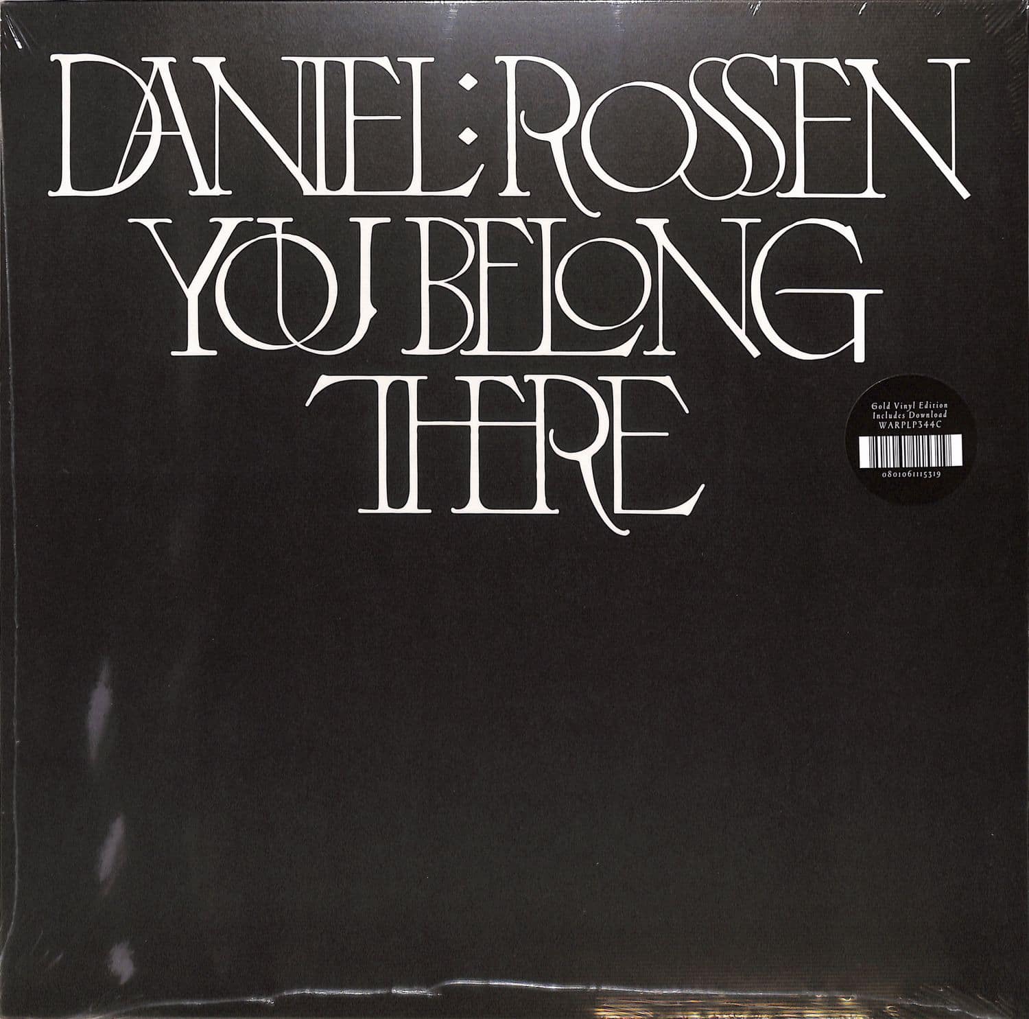 Daniel Rossen - YOU BELONG THERE 