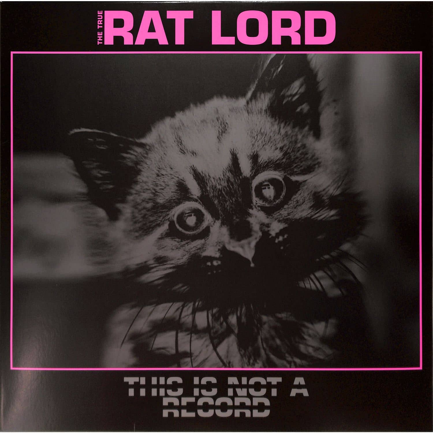 Rat Lord - THIS IS NOT A RECORD 