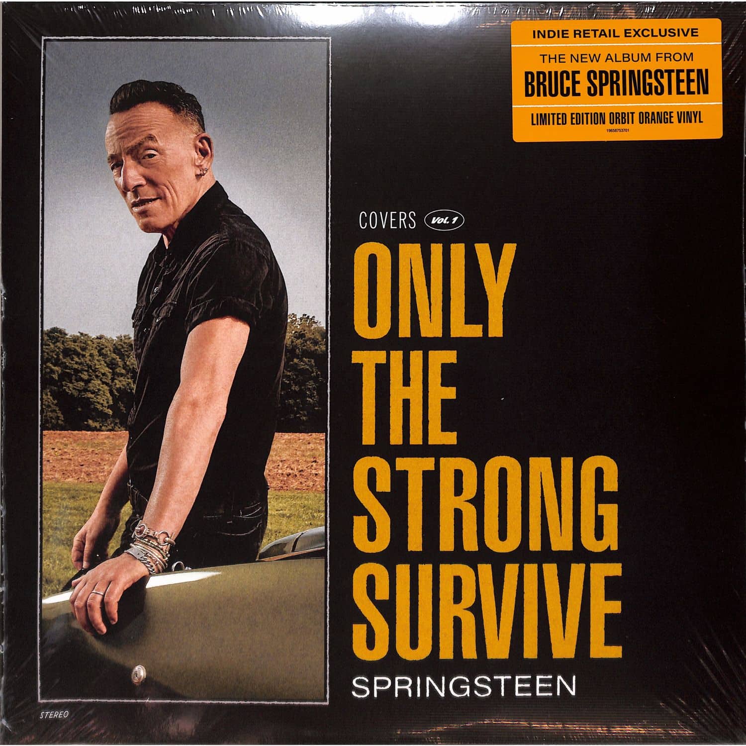 Bruce Springsteen - ONLY THE STRONG SURVIVE 