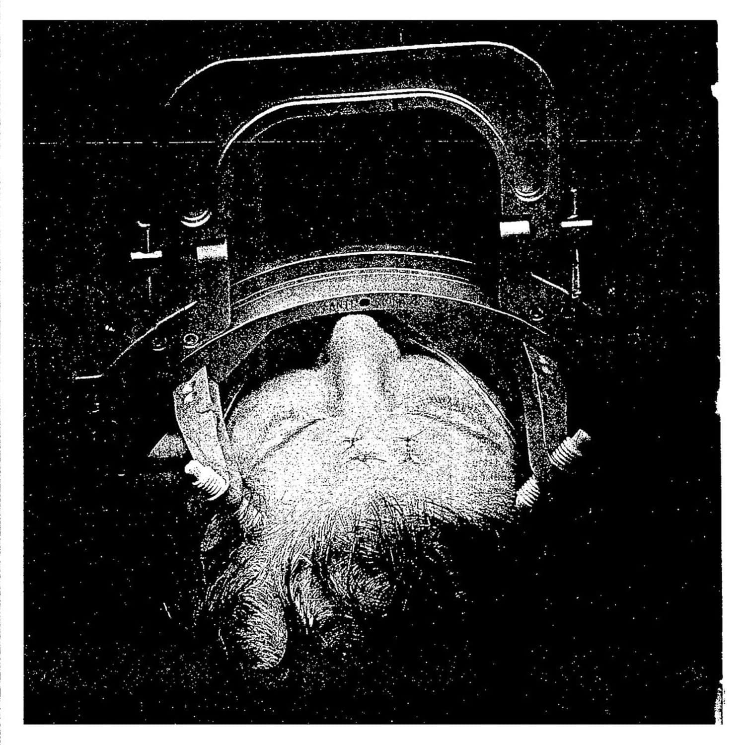 Concede - INDOCTRINATE 