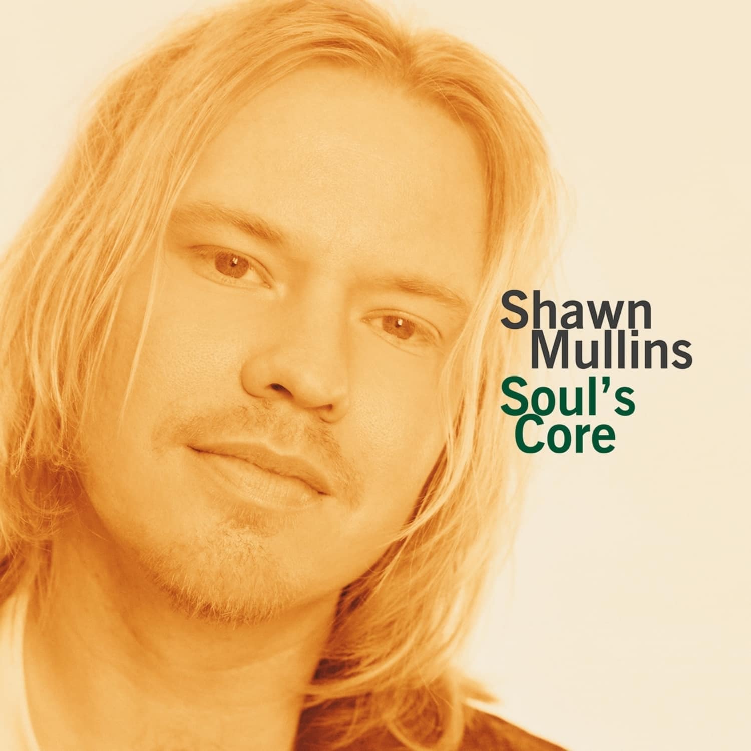 Shawn Mullins - SOUL S CORE 