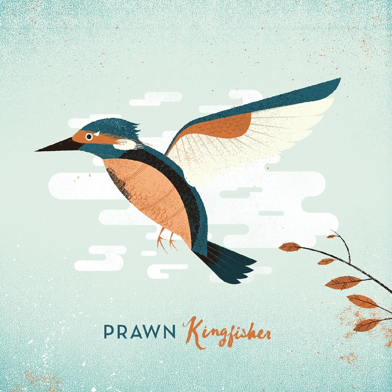 Prawn - KINGFISHER 