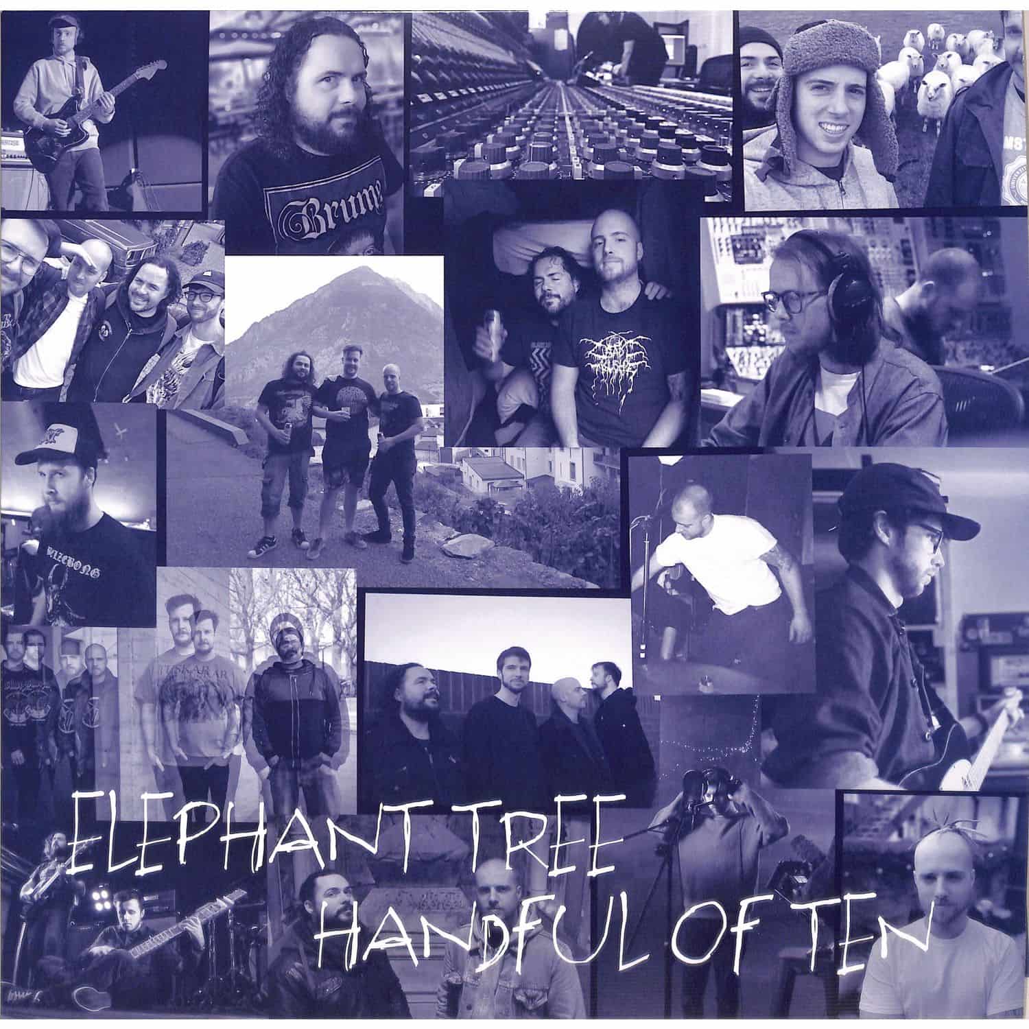 Elephant Tree - HANDFUL OF TEN 