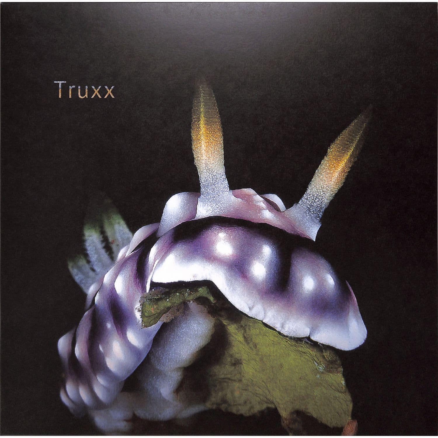Truxx - EUPHORIA AND ILLUSIONS