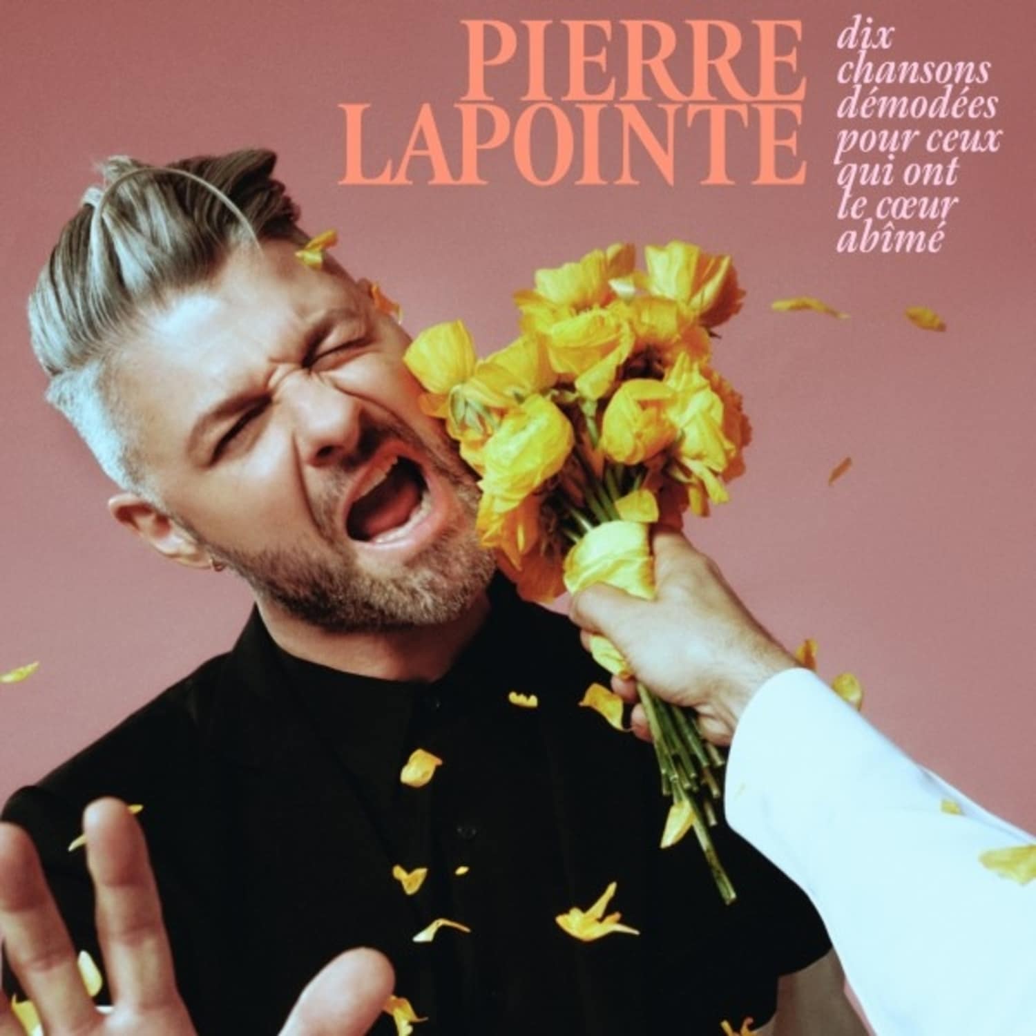 Pierre Lapointe - DIX CHANSONS DEMODEES POUR CEUX QUI ONT LE COEUR A 