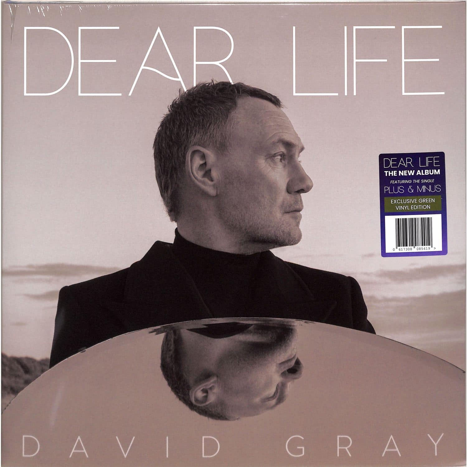 David Gray - DEAR LIFE 