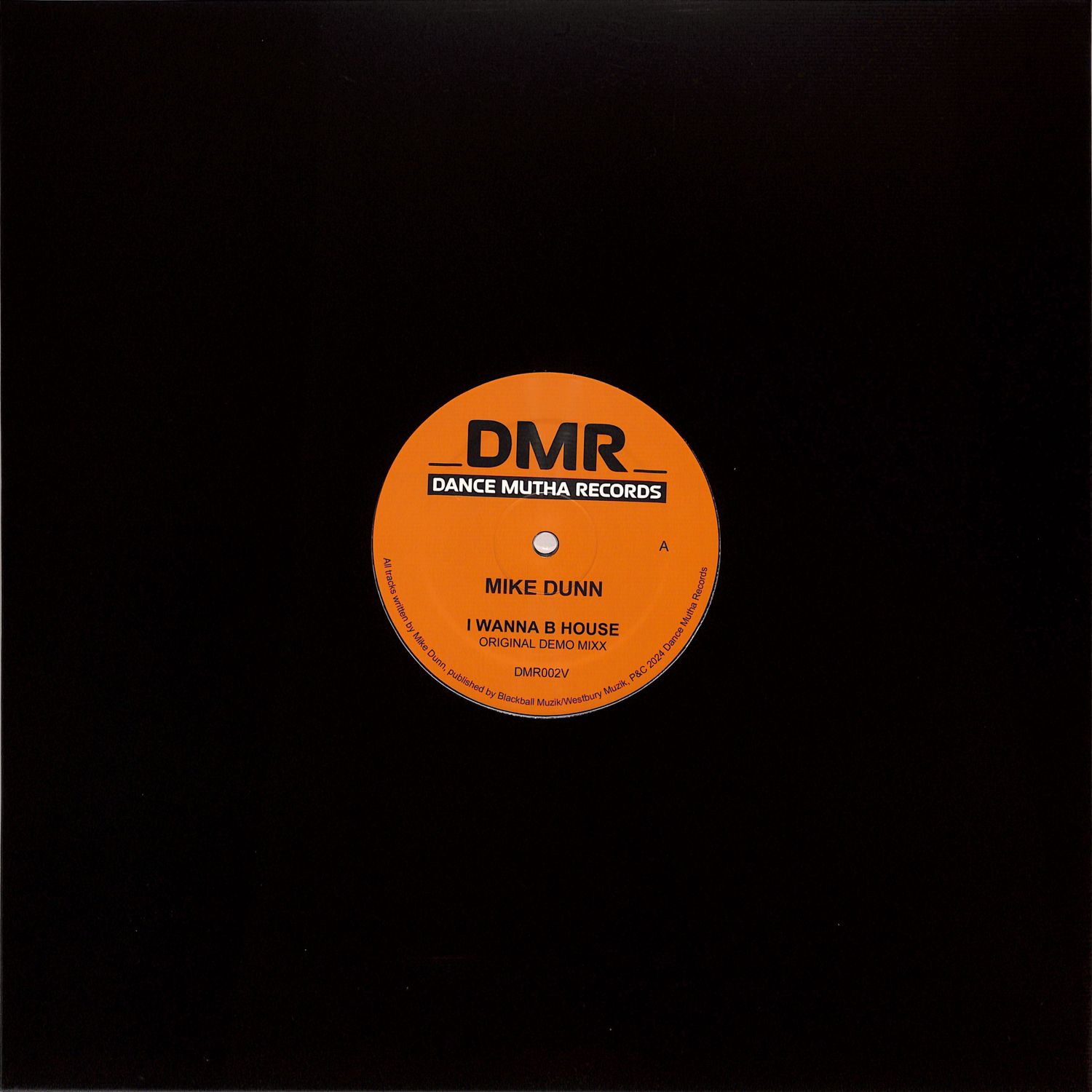 Mike Dunn - I WANNA B HOUSE 