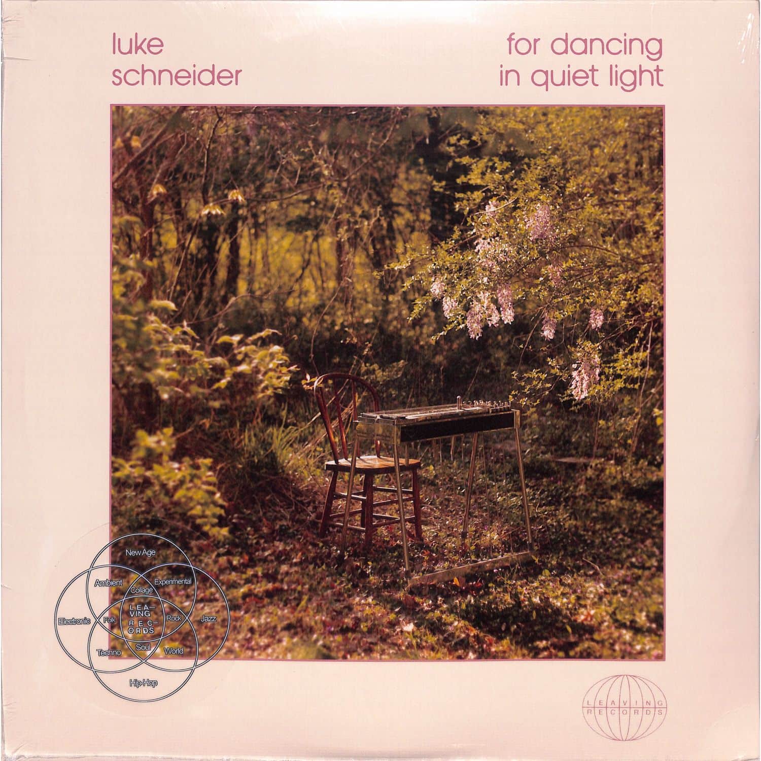 Luke Schneider - FOR DANCING IN QUIET LIGHT