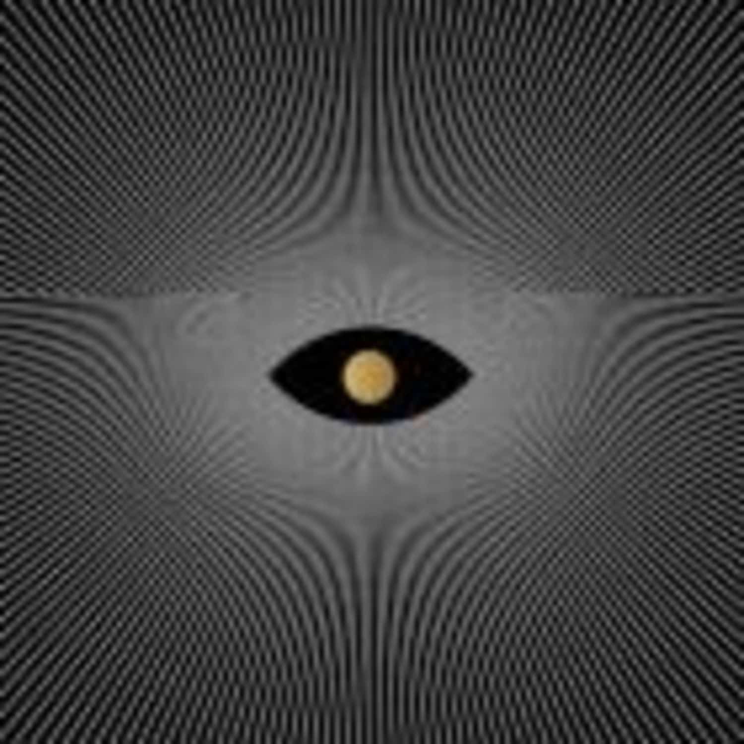 Denise Rabe - TRANSITION