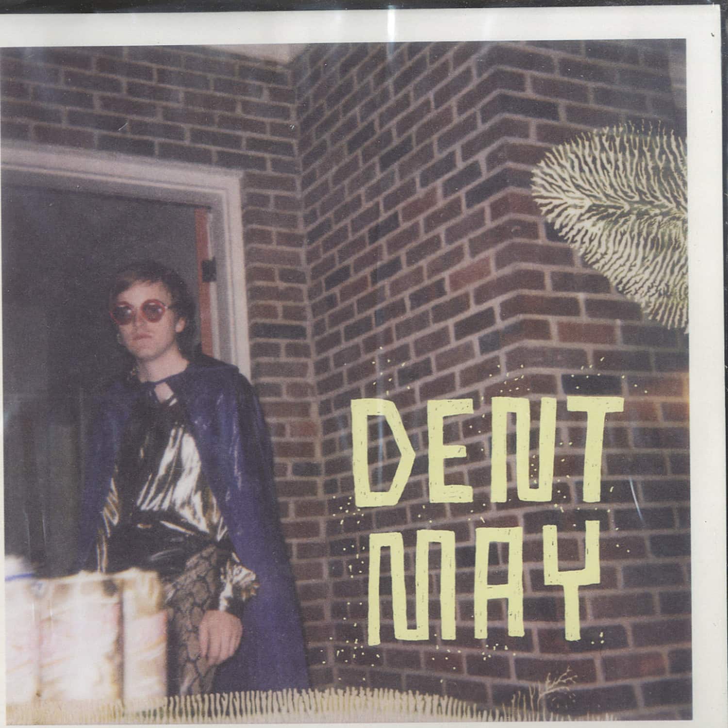 Dent May - THIS FEELING / EASTOVER WIVES 