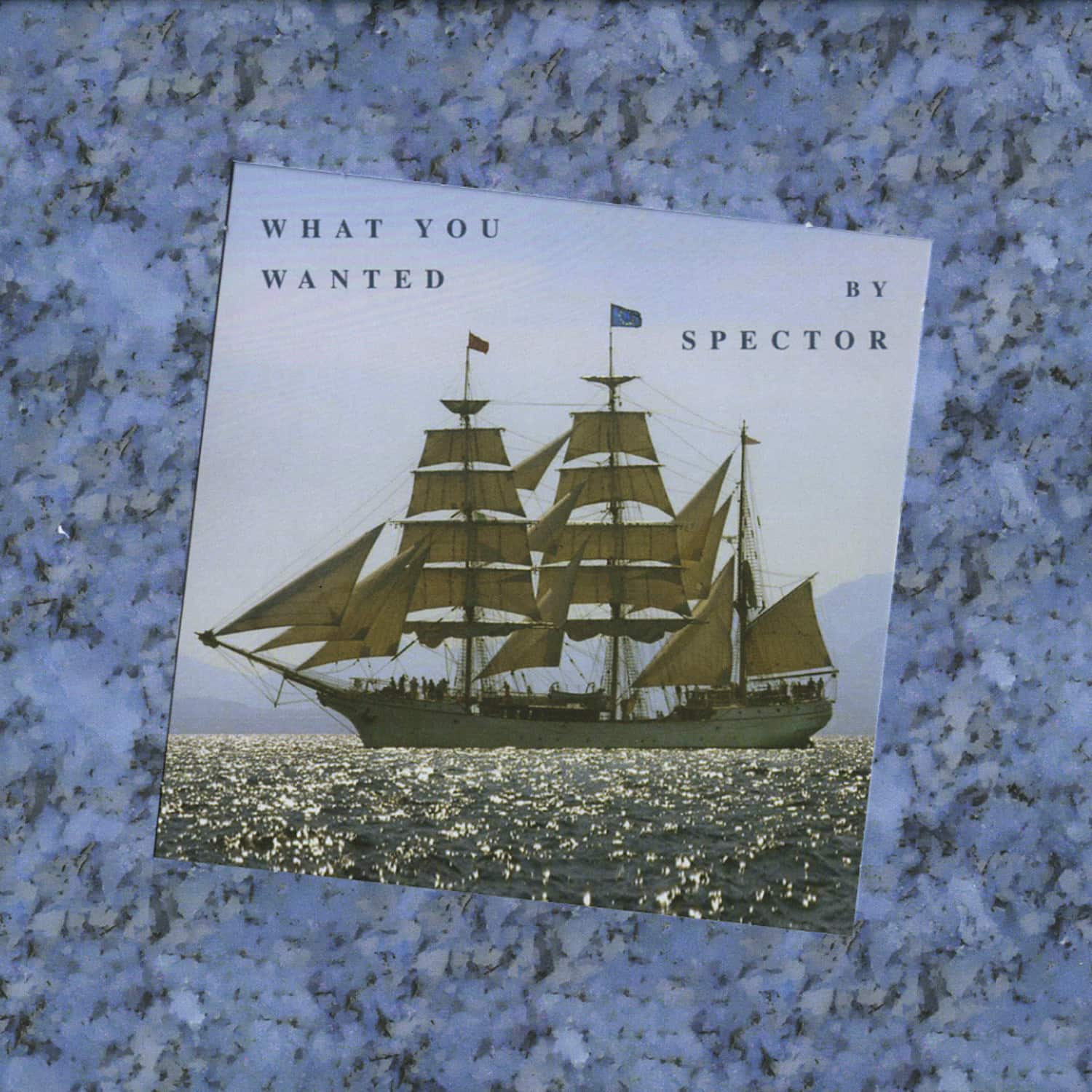 Spector - WHAT YOU WANTED 