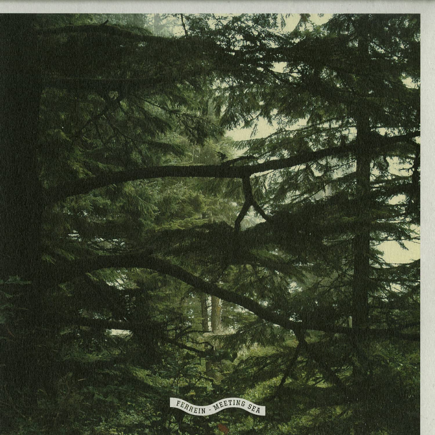 Ferrein - MEETING SEA EP 