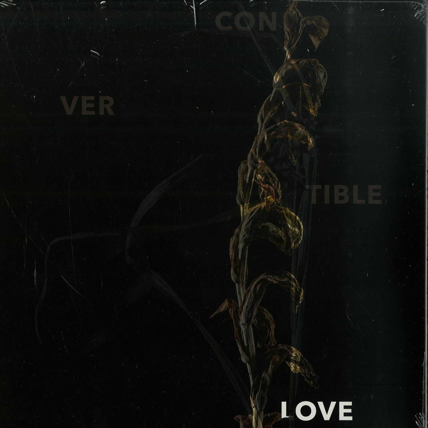 Convertible - LOVE 