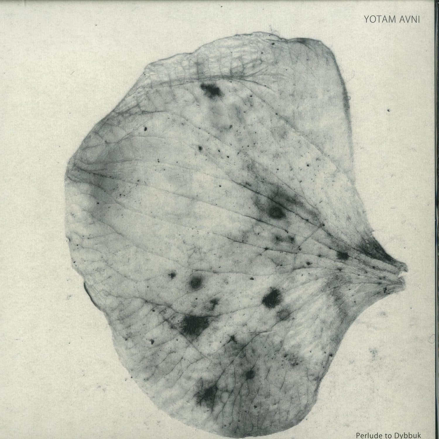 Yotam Avni - PERLUDE TO DYBBUK