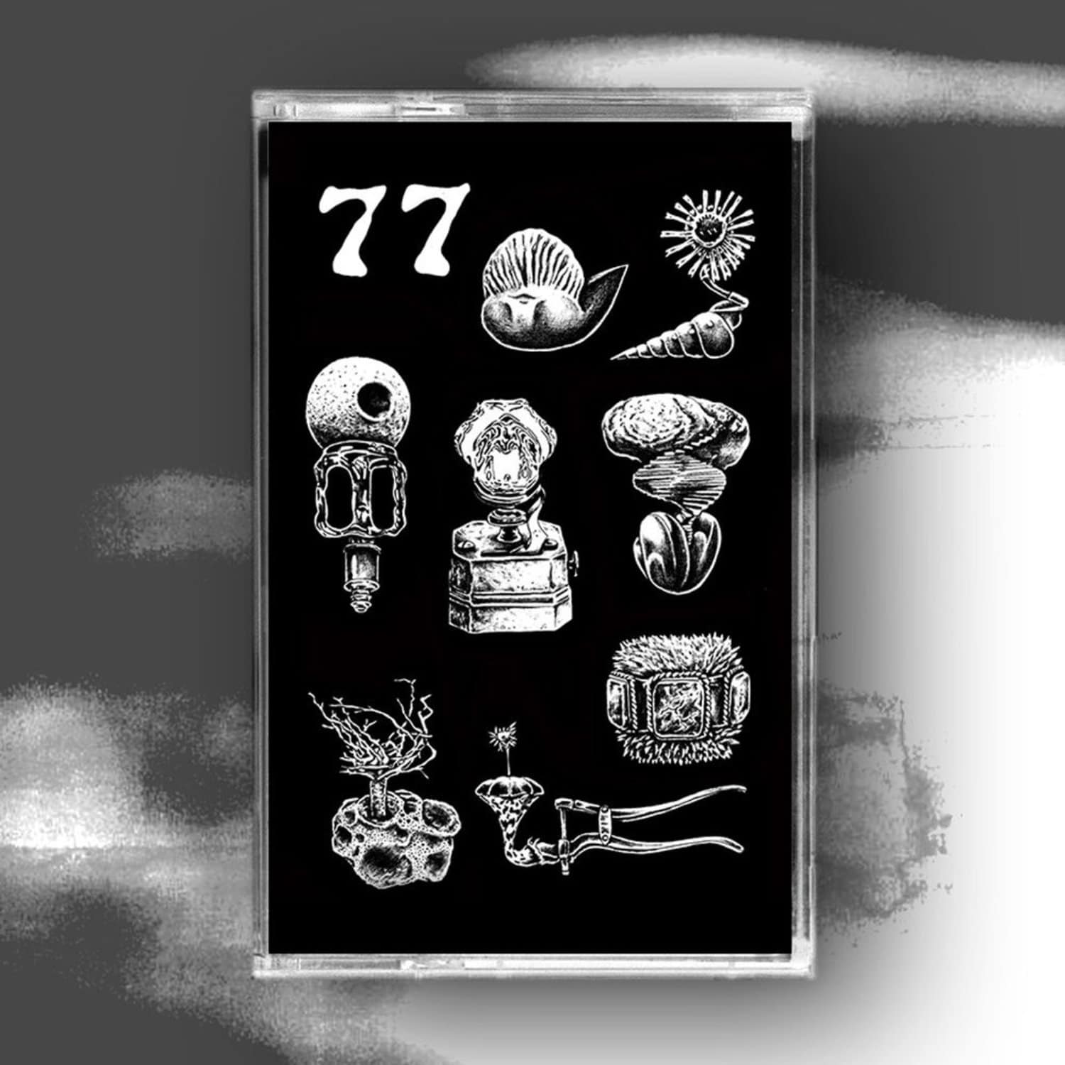 Hypnobird - A BREIF LANDING ON THE EARTHS SURFACE