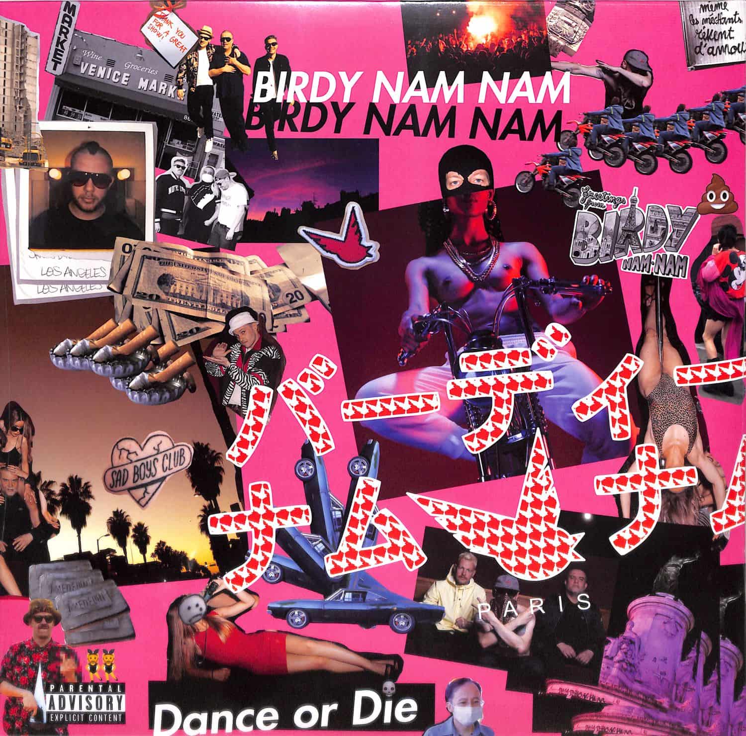 Birdy Nam Nam - DANCE OR DIE 
