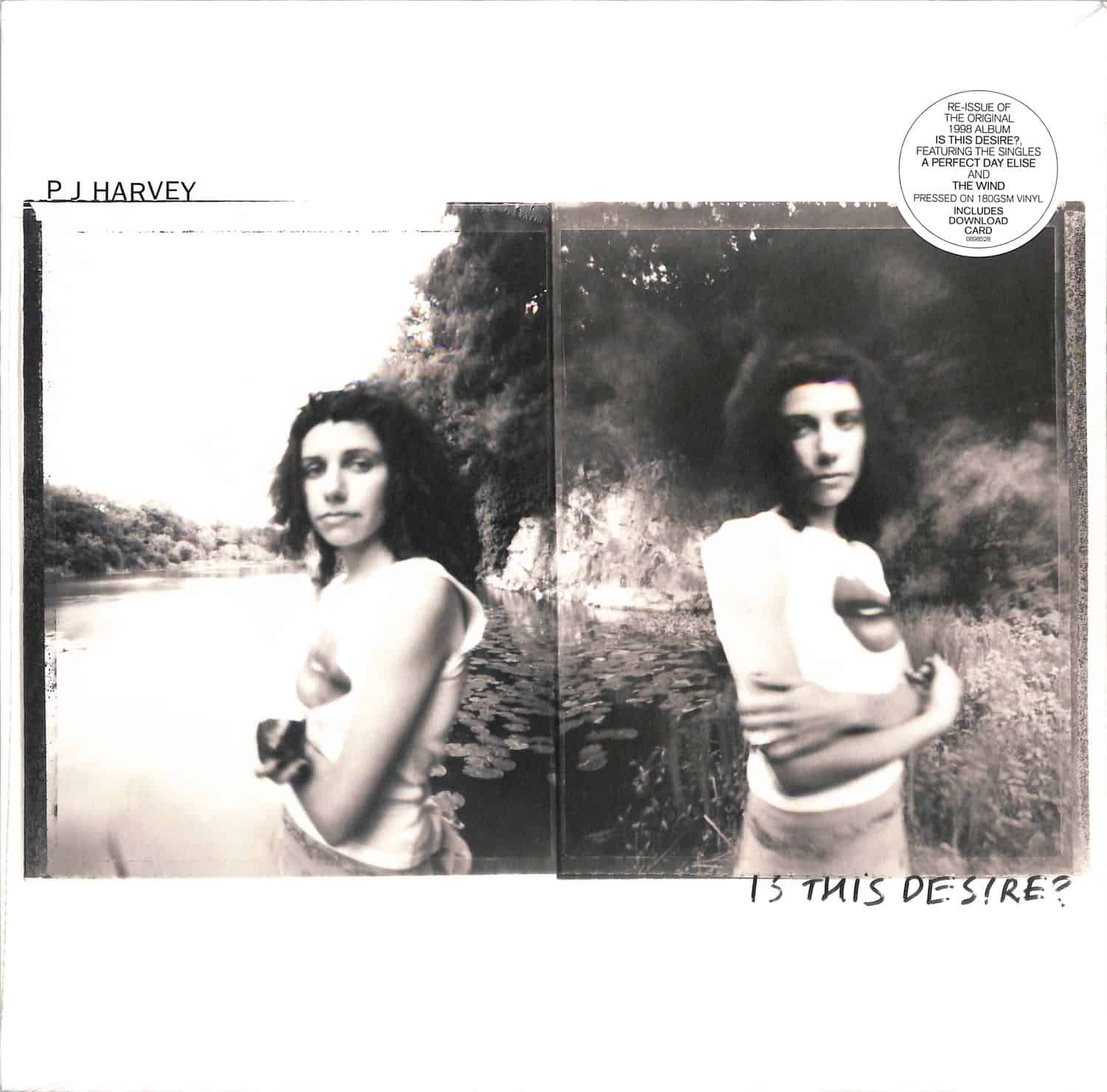 PJ Harvey - IS THIS DESIRE? 