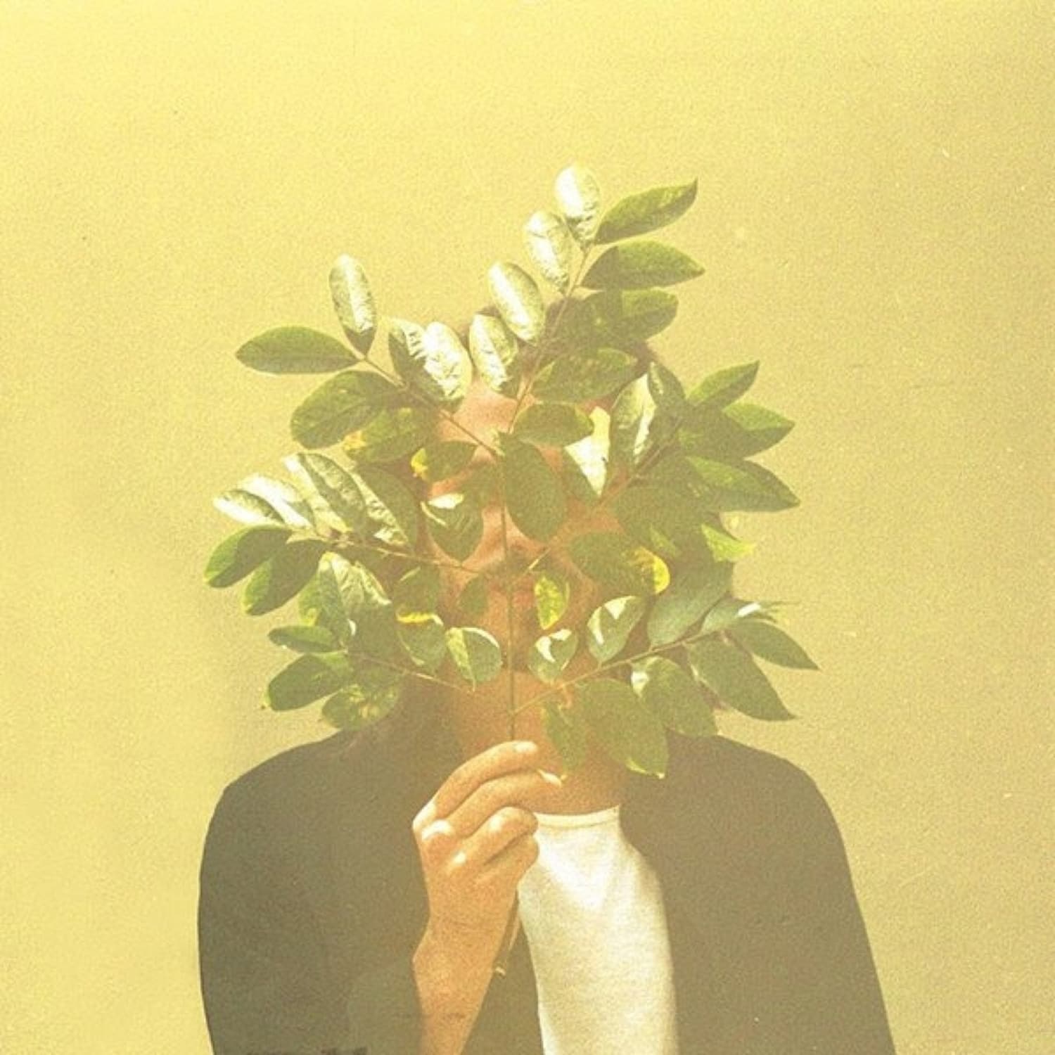 FKJ - FRENCH KIWI JUICE 