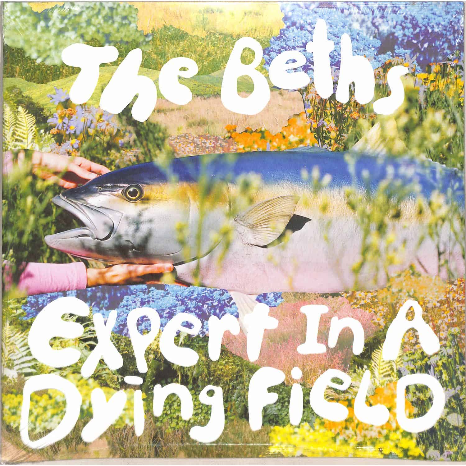 The Beths - EXPERT IN A DYING FIELD 