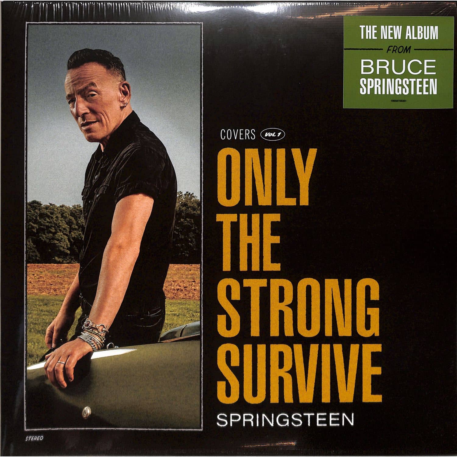 Bruce Springsteen - ONLY THE STRONG SURVIVE 