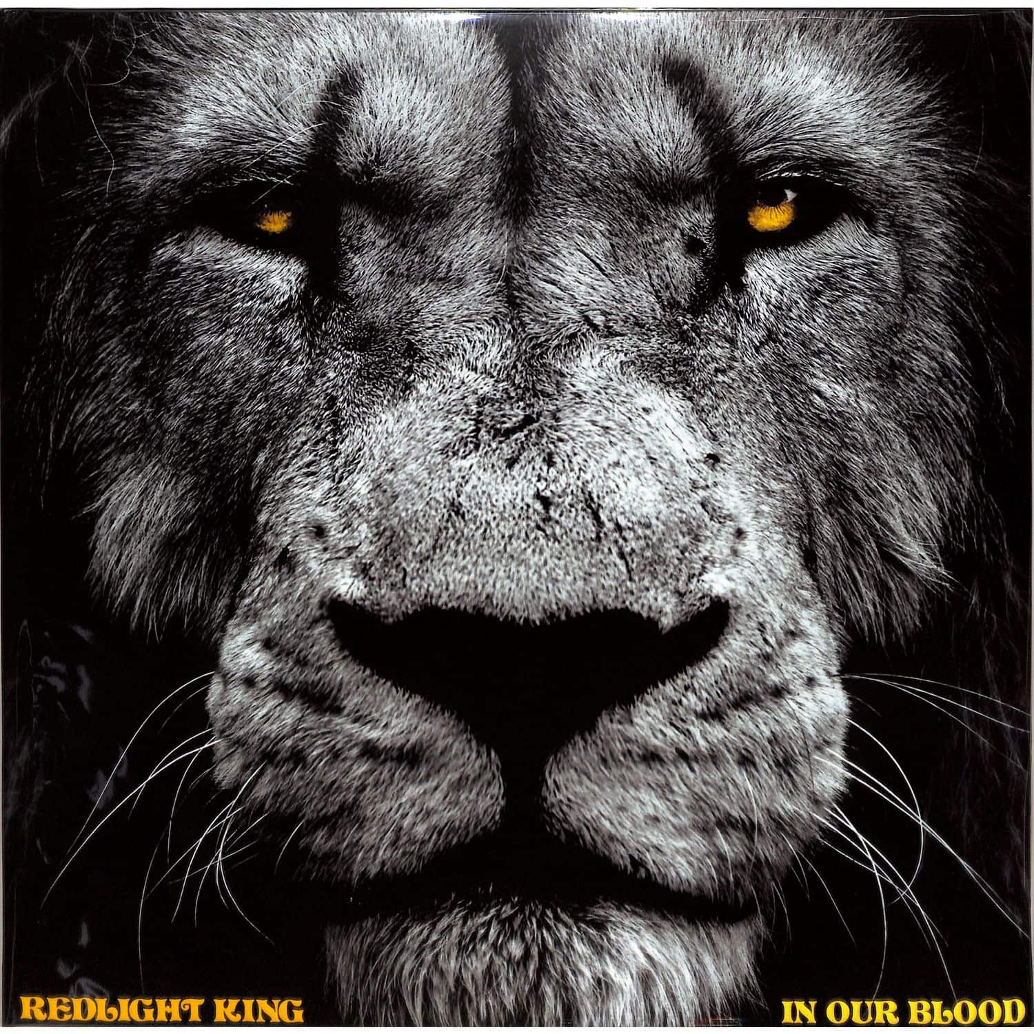 Redlight King - IN OUR BLOOD 