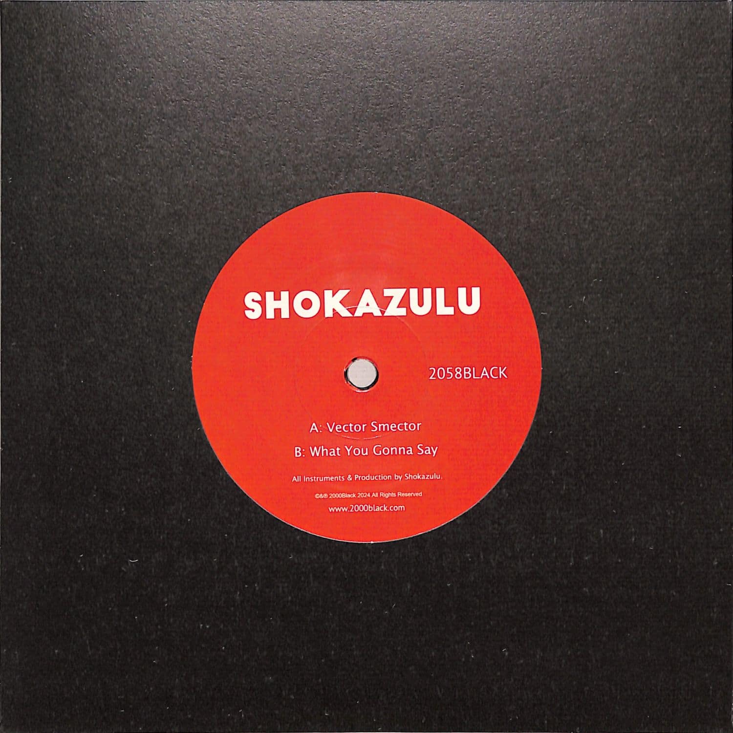 Shokazulu - VECTOR SMECTOR / WHAT YOU GONNA SAY 