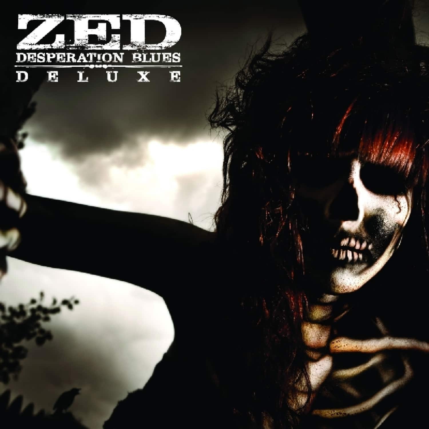 Zed - DESPERATION BLUES 