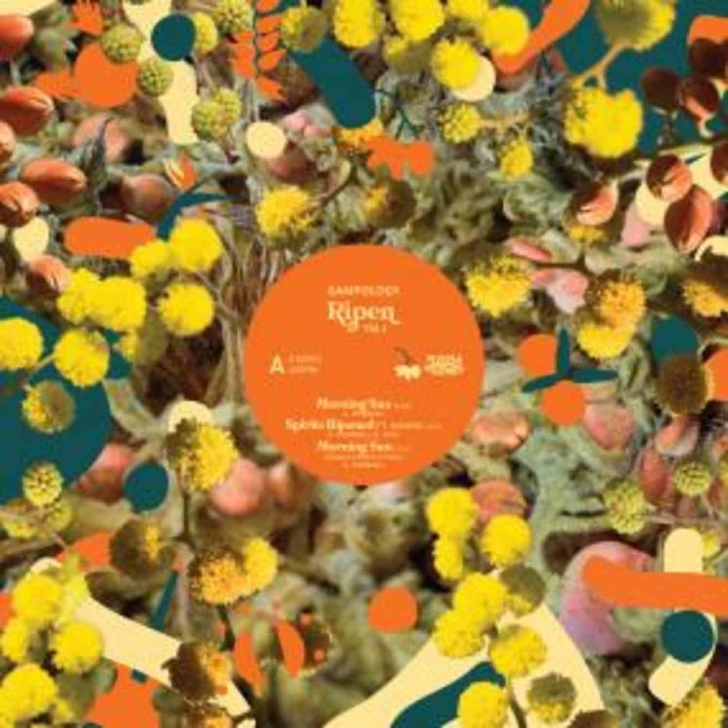 Sampology - RIPEN VOL.1