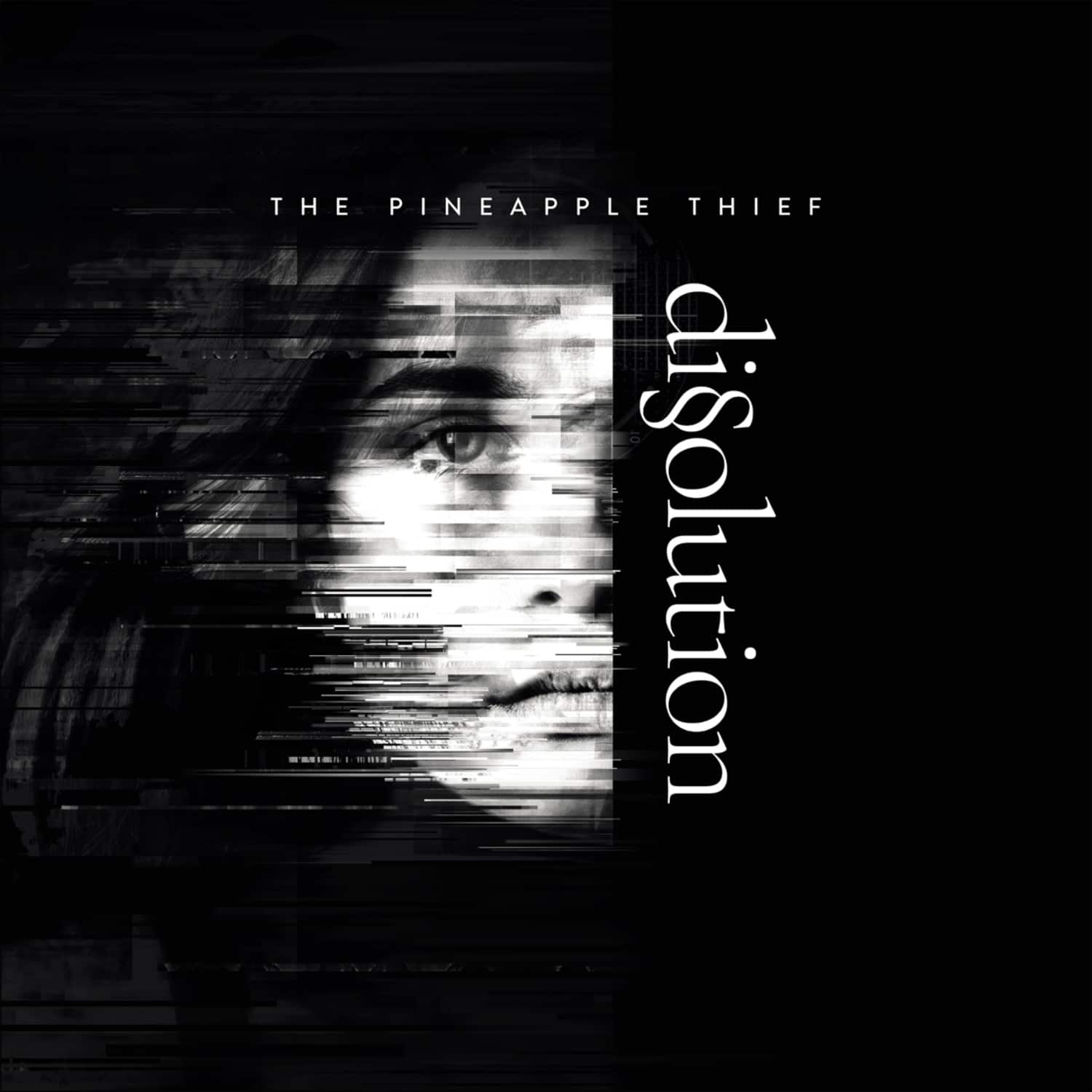 The Pineapple Thief - DISSOLUTION 