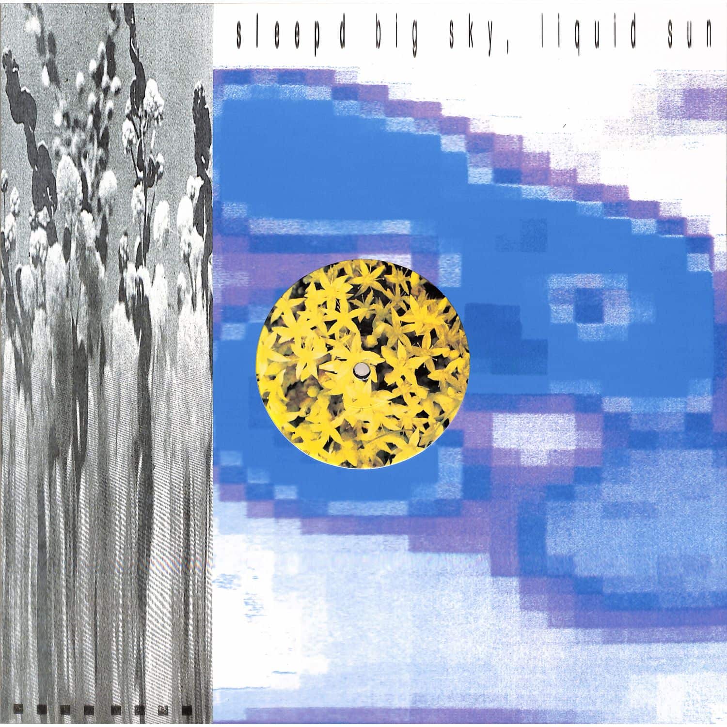 Sleep D - BIG SKY, LIQUID SUN