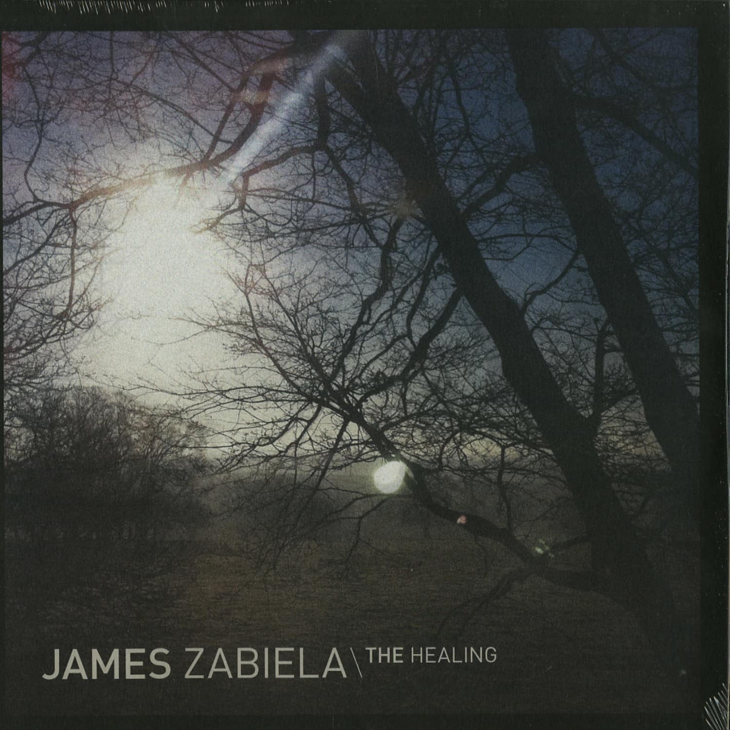 James Zabiela - THE HEALING