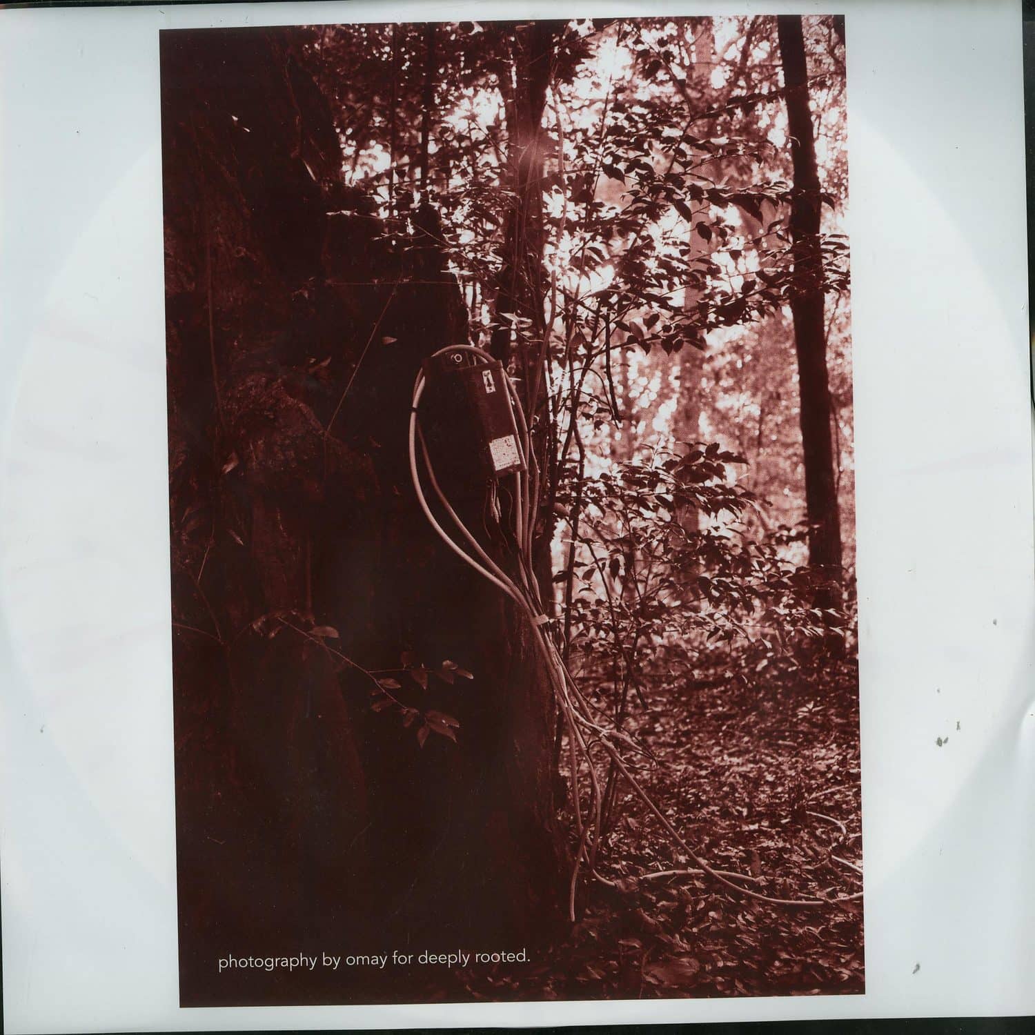 Emmanuel - DEEPLY INVOLVED