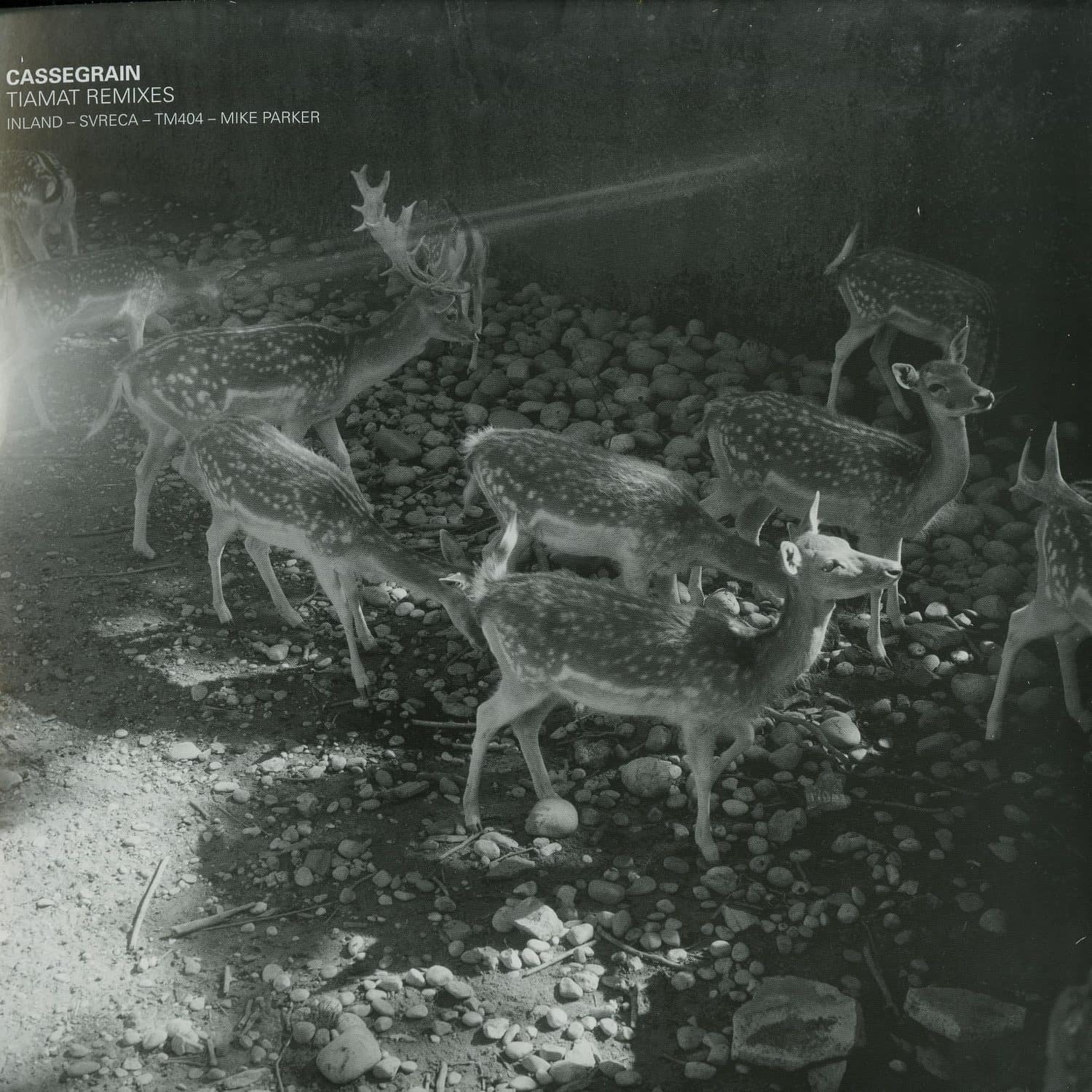 Cassegrain - TIAMAT 