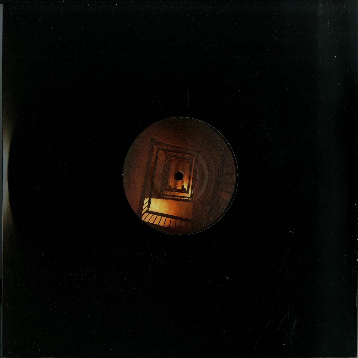 Ant Orange - ARKUPE