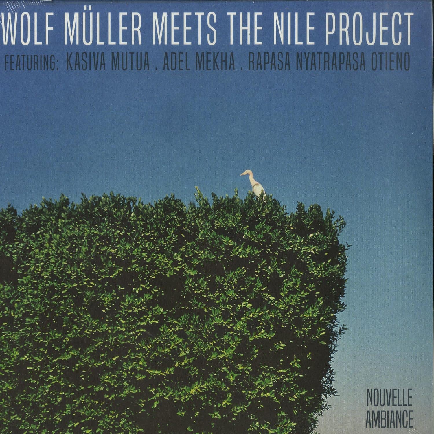 Wolf Mller Meets The Nile Project - WOLF MULLER MEETS THE NILE PROJECT EP
