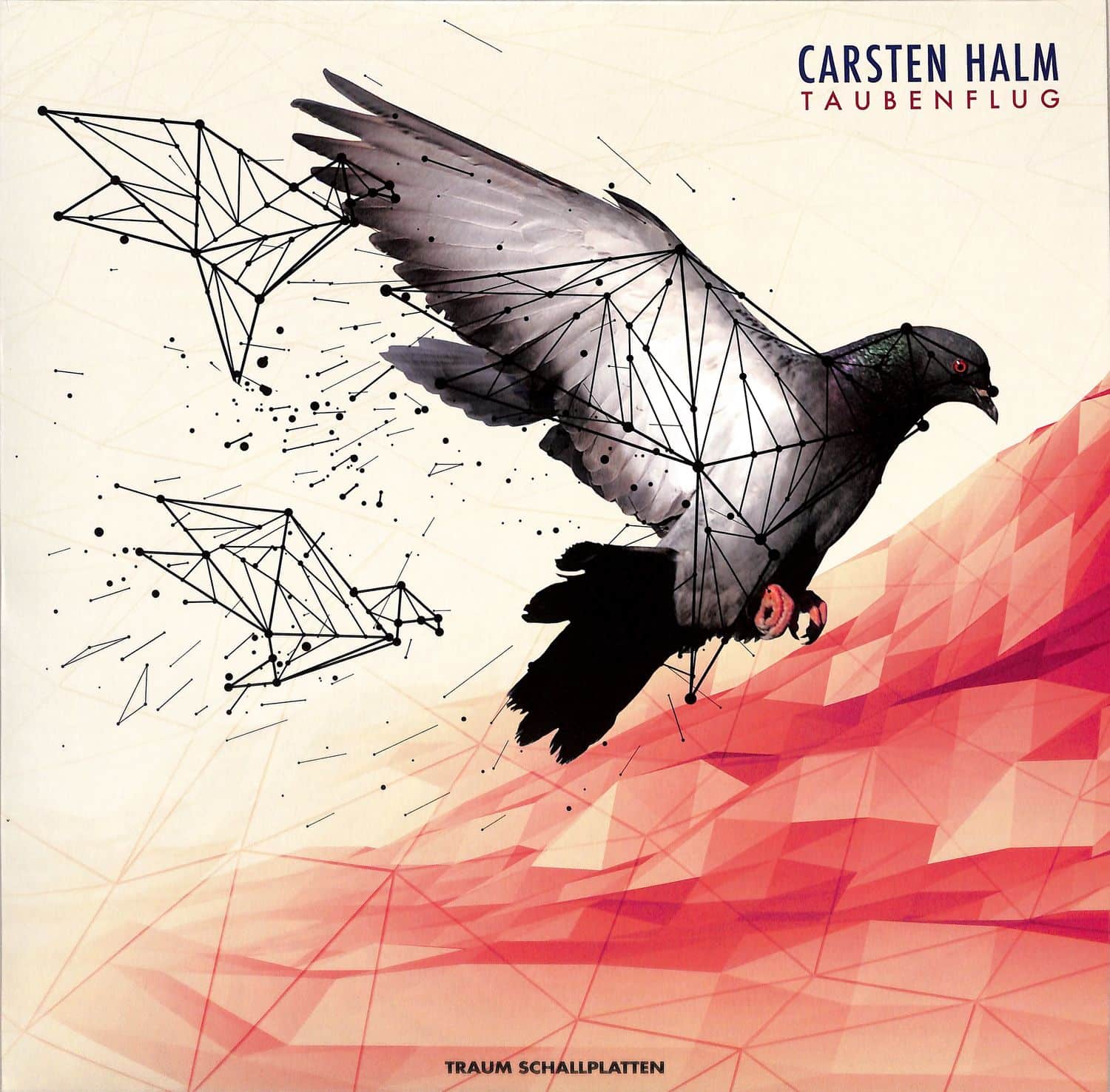 Carsten Halm - TAUBENFLUG