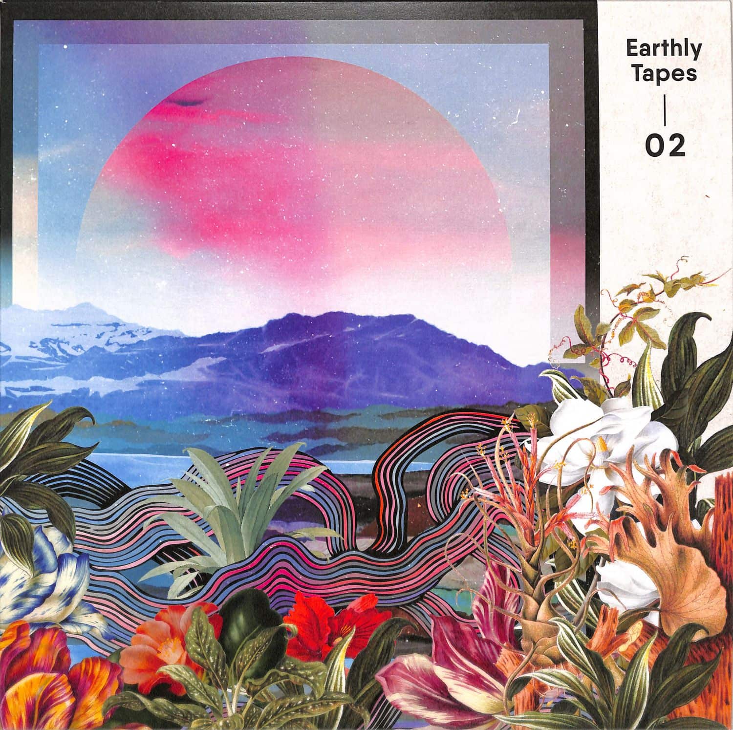 Various Artists - EARTHLY TAPES 02