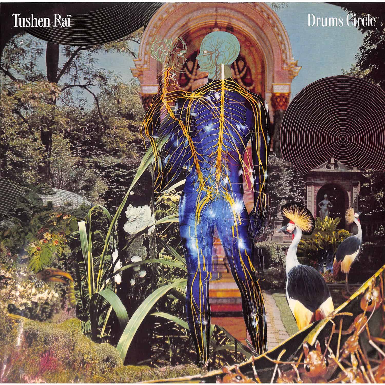 Tushen Rai - DRUMS CIRCLE 