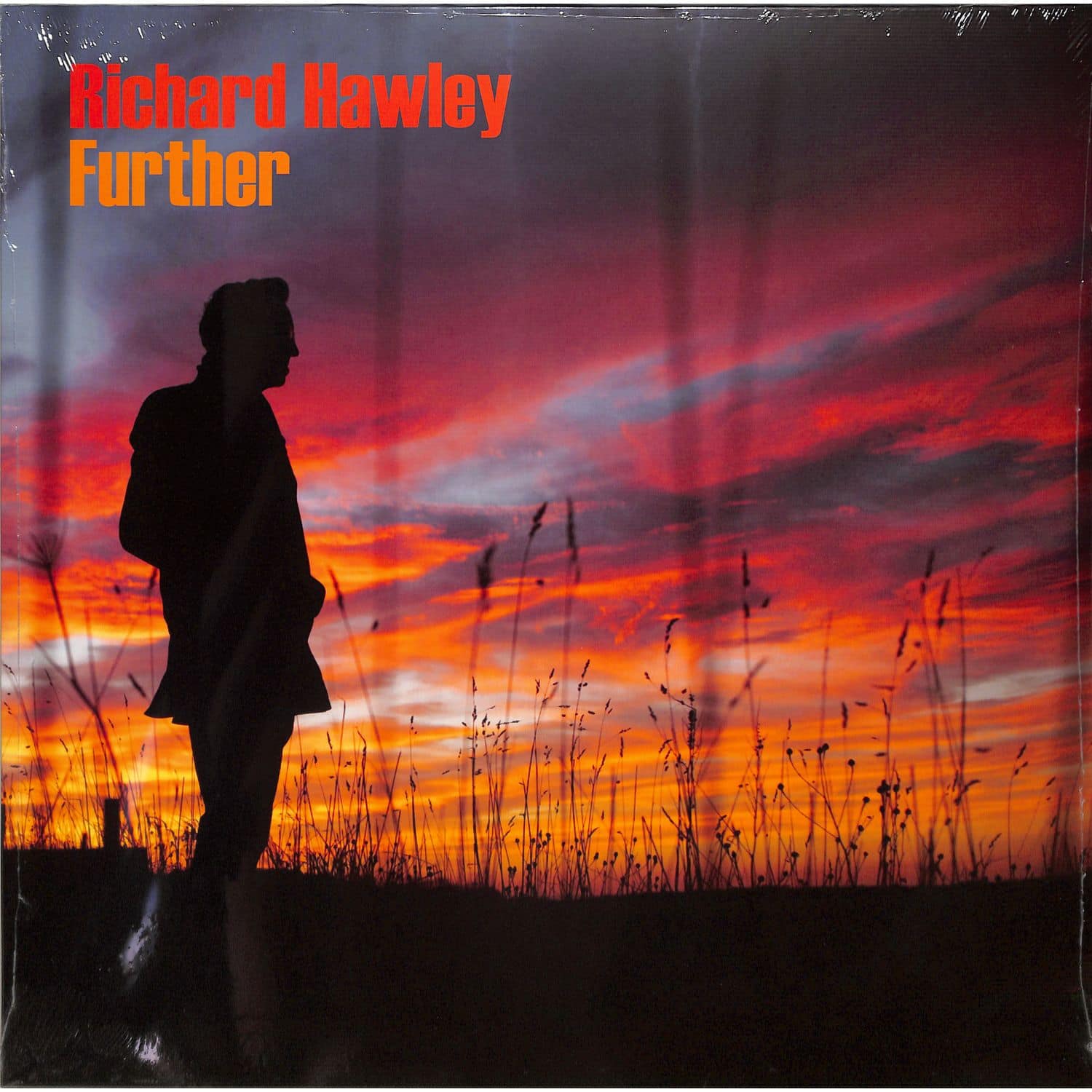 Richard Hawley - FURTHER 