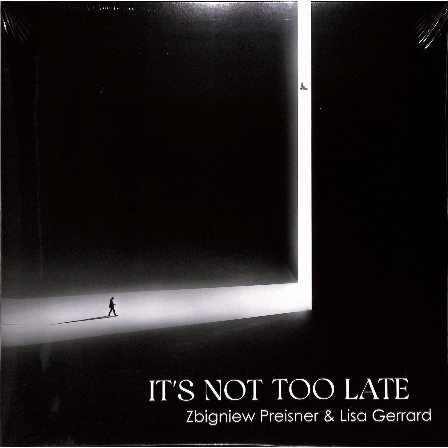 Zbigniew Preisner & Lisa Gerrard - ITS NOT TOO LATE 