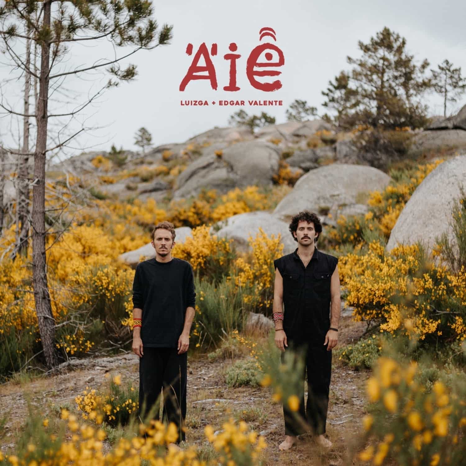 Luizga / Edgar Valente - AIE 