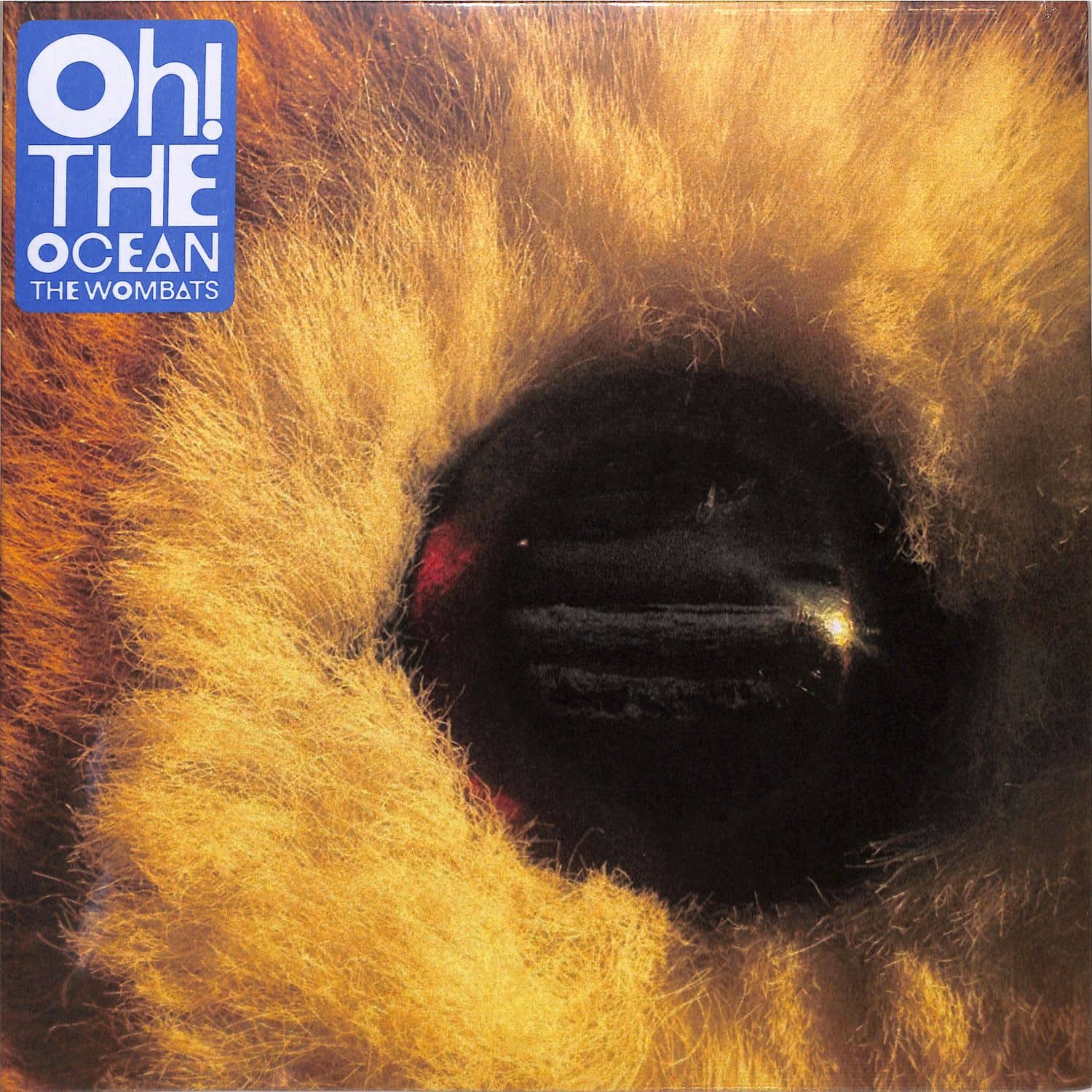 The Wombats - OH! THE OCEAN 