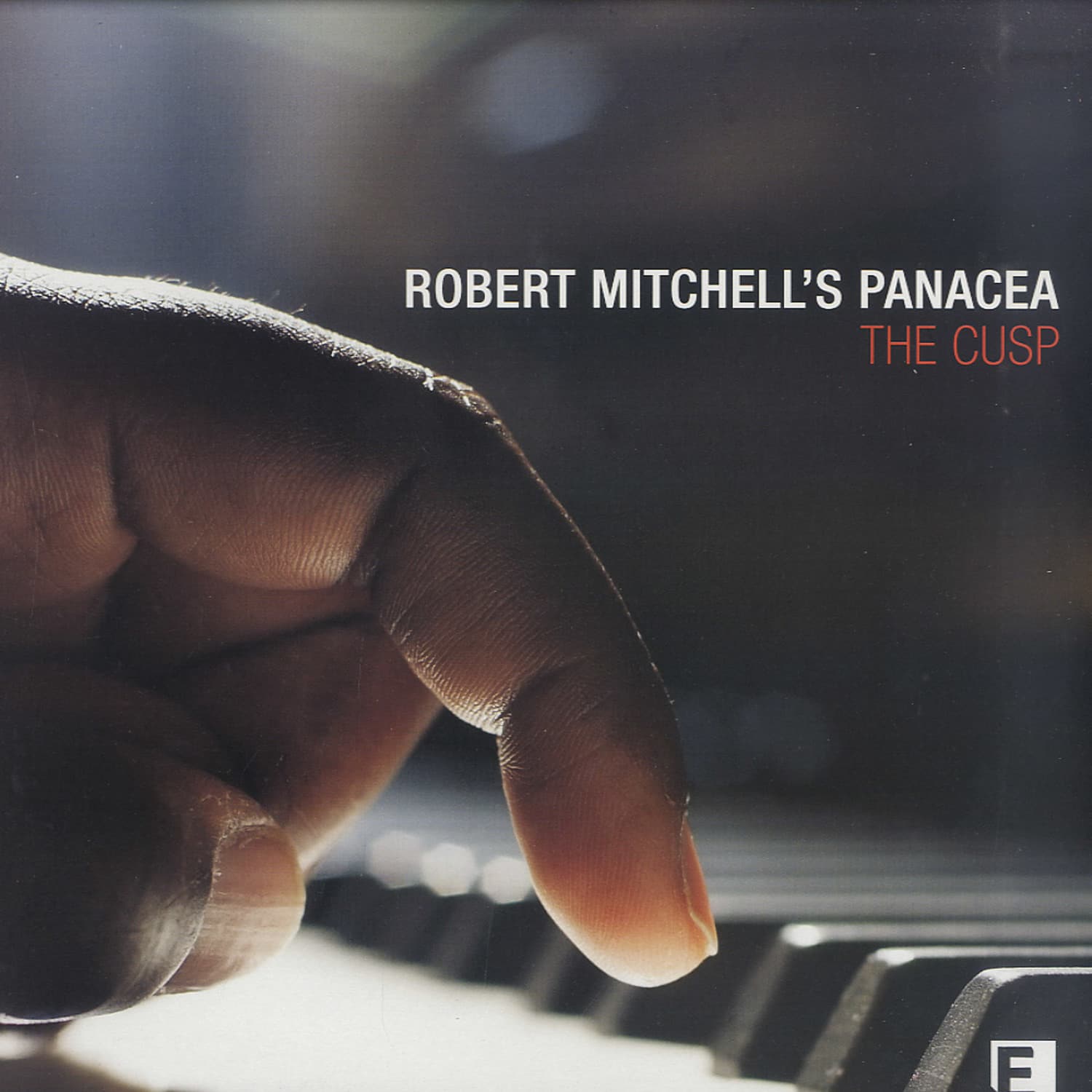Robert Mitchells Panacea - THE CUSP 