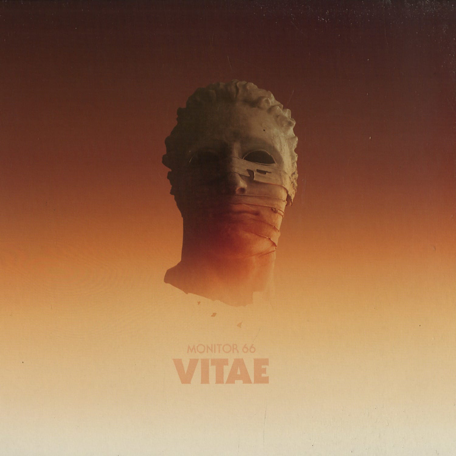 Monitor 66 - VITAE