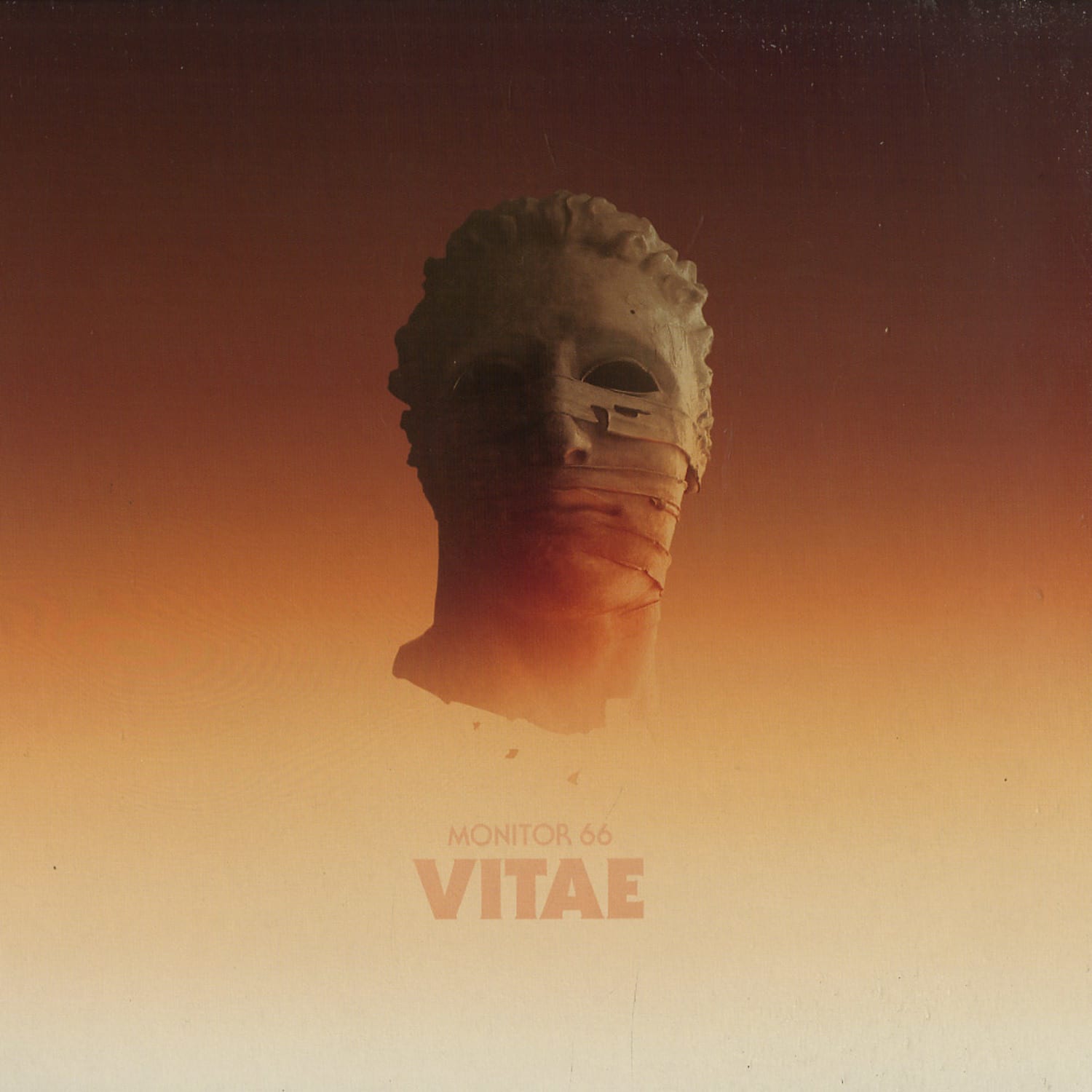 Monitor 66 - VITAE