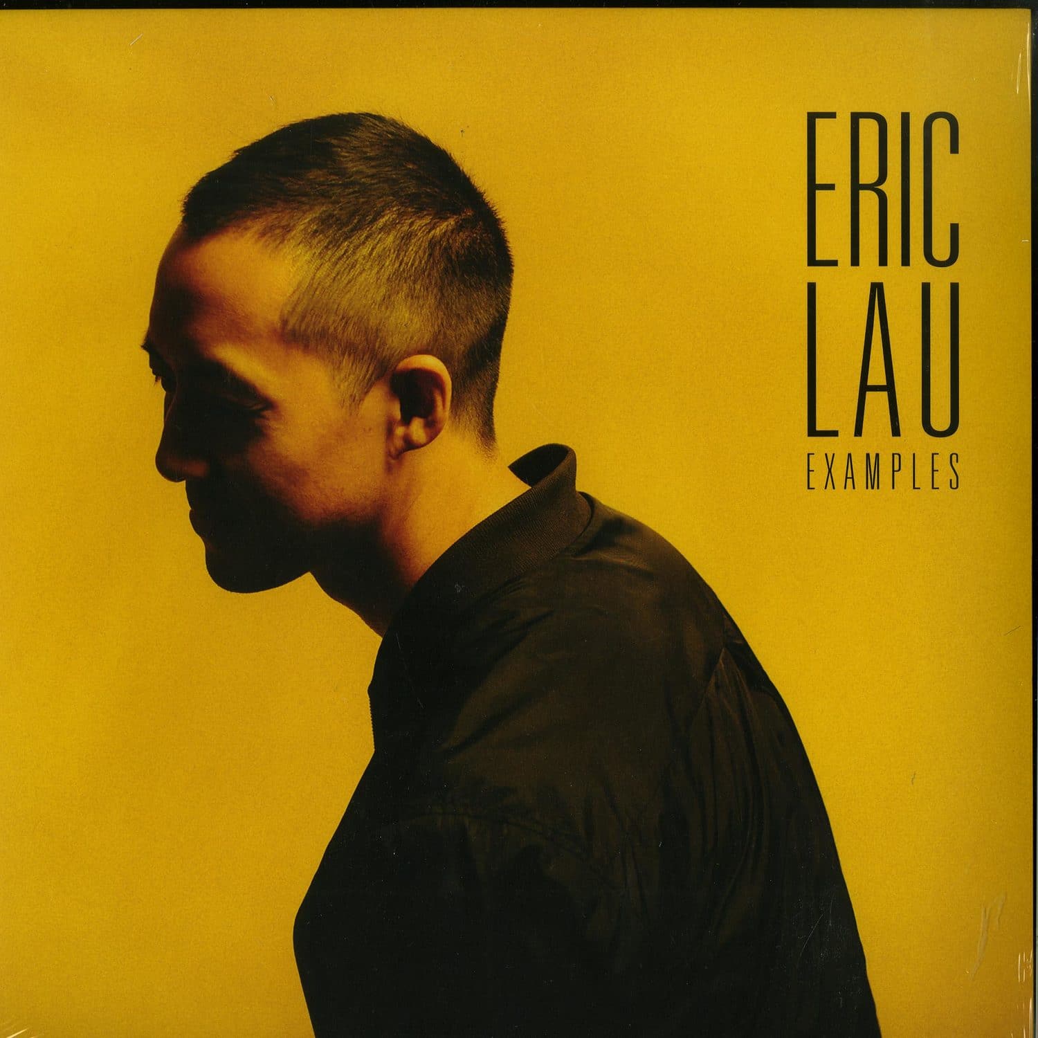 Eric Lau - EXAMPLES 